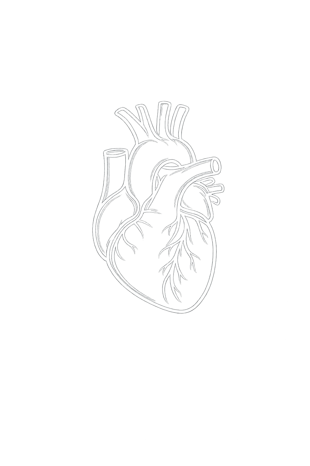 Engineering line drawing of a heart and aorta